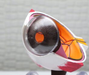 Best Eye Clinics in Singapore