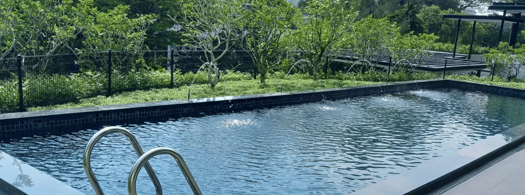 Pool Cleaning in Singapore
