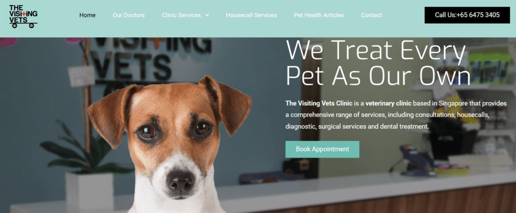 Veterinary clinics in Singapore
