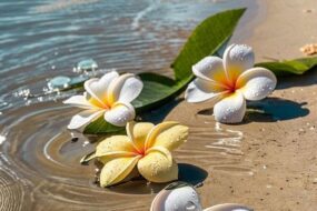 psychotherapists in Singapore