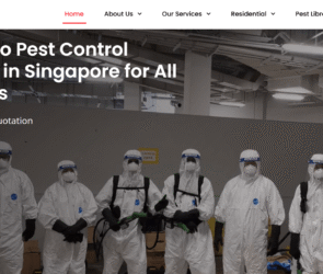 Termite Control in Singapore