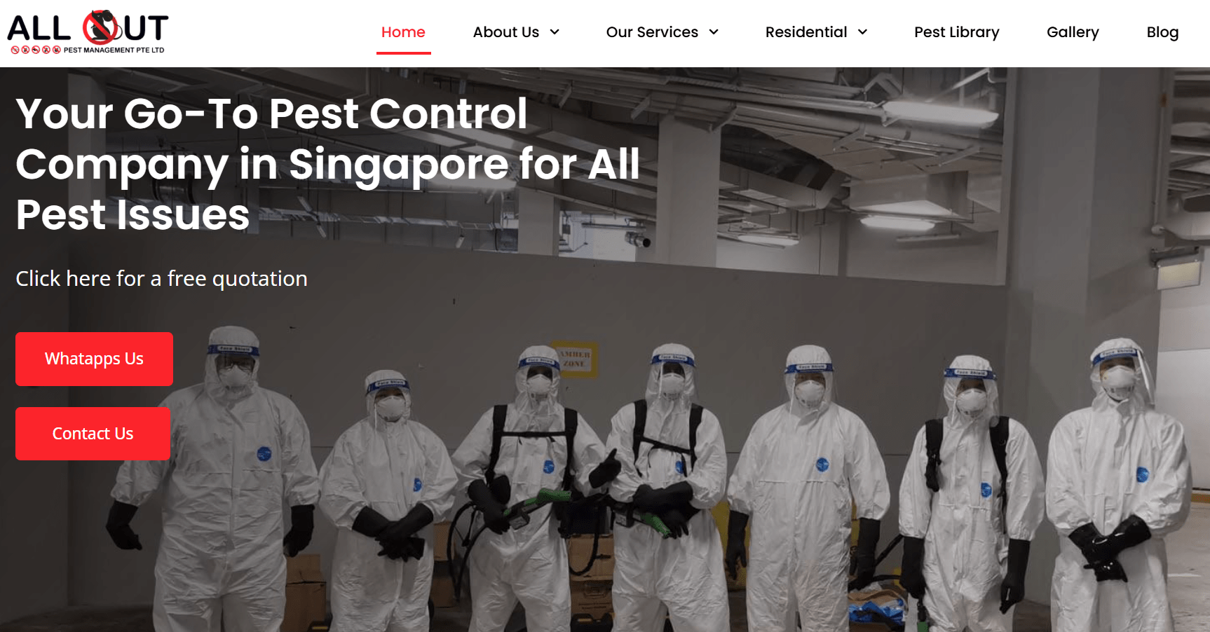 Termite Control in Singapore