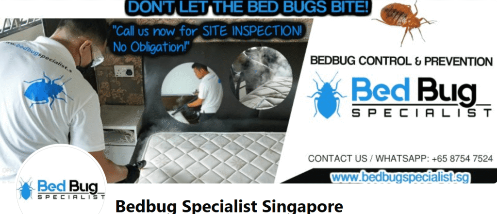 Bed Bug Specialist Singapore