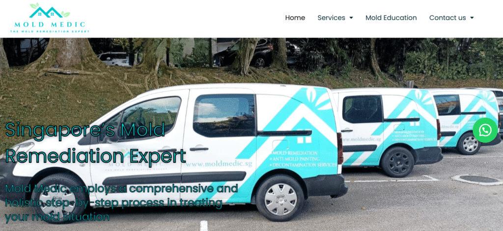 mould removal in Singapore