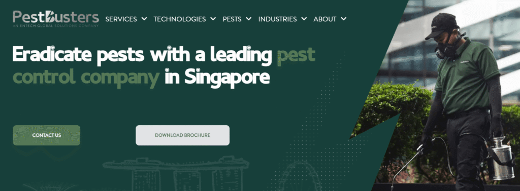 bed bug exterminators in Singapore