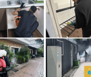 Bed bugs exterminators in Singapore