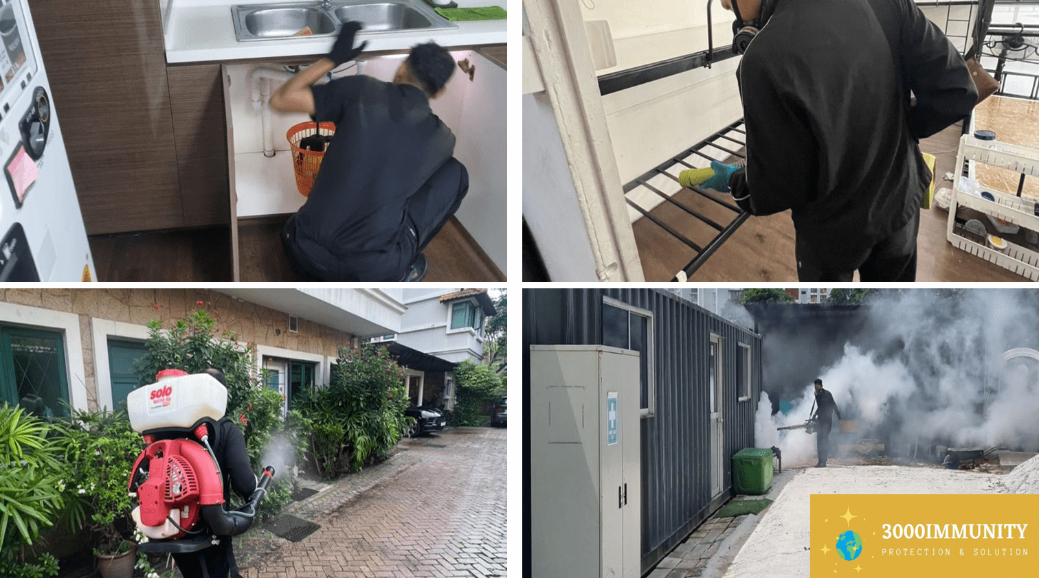 Bed bugs exterminators in Singapore