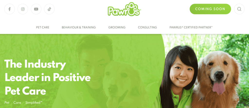 dog grooming in Singapore