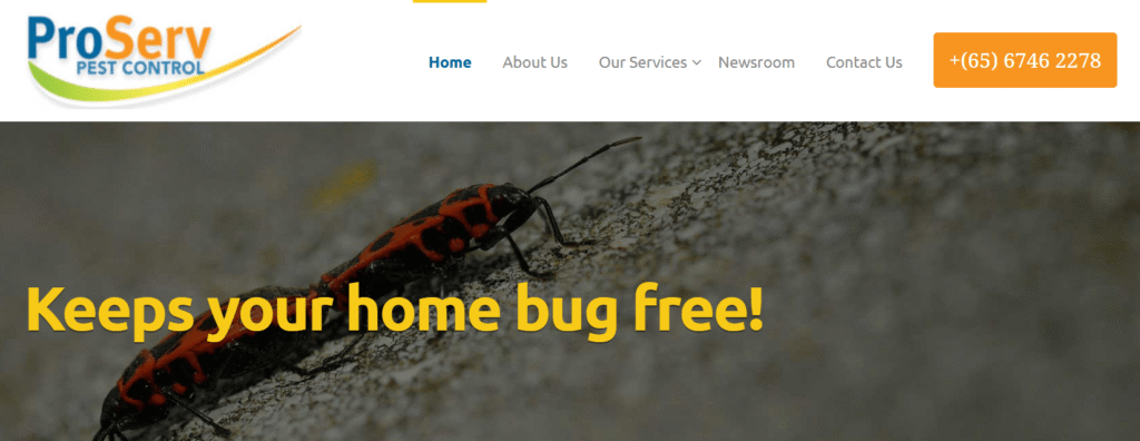 pest control companies in Singapore