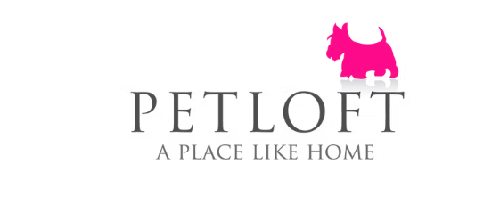 Pet Photographers in Singapore