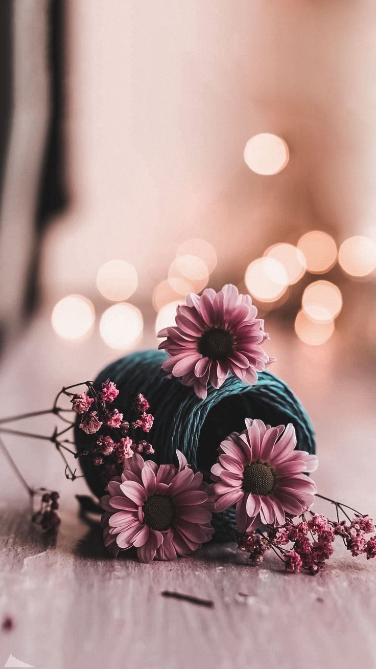 Model Agencies in Singapore