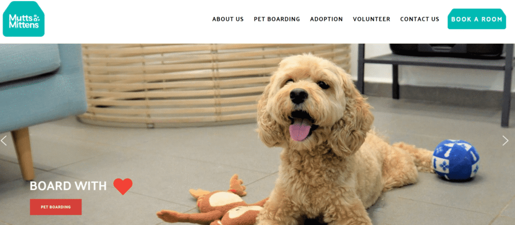 Dog boarding in Singapore