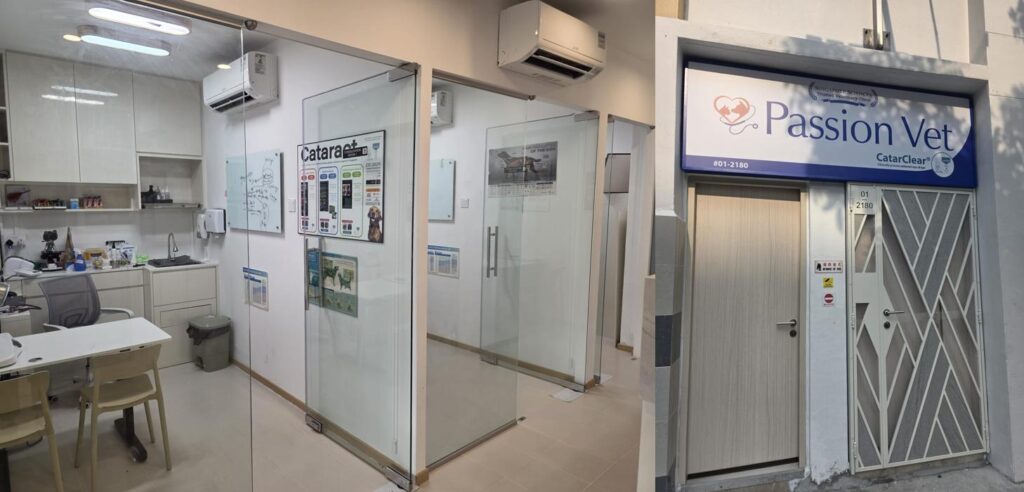 vet clinics in Singapore