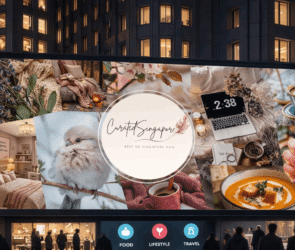 digital signage providers in Singapore