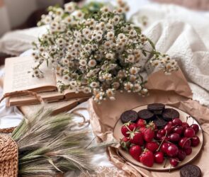 Tammy Guestpost20263