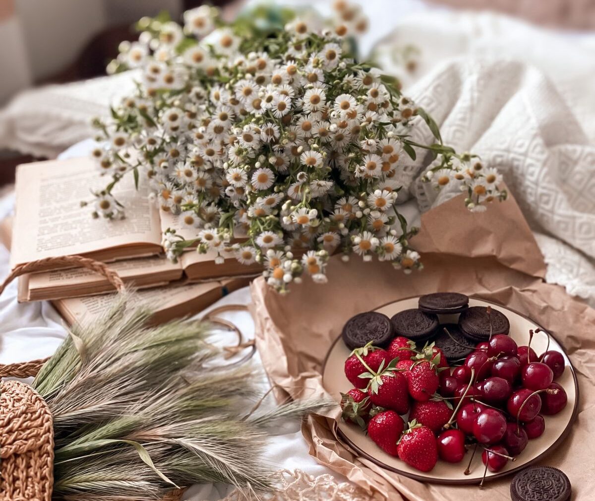 Tammy Guestpost20263