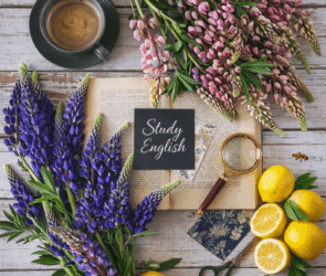 ESL Classes in Singapore