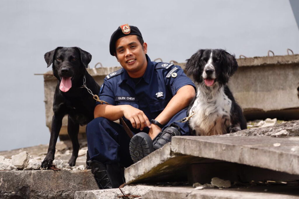 Dog Training in Singapore