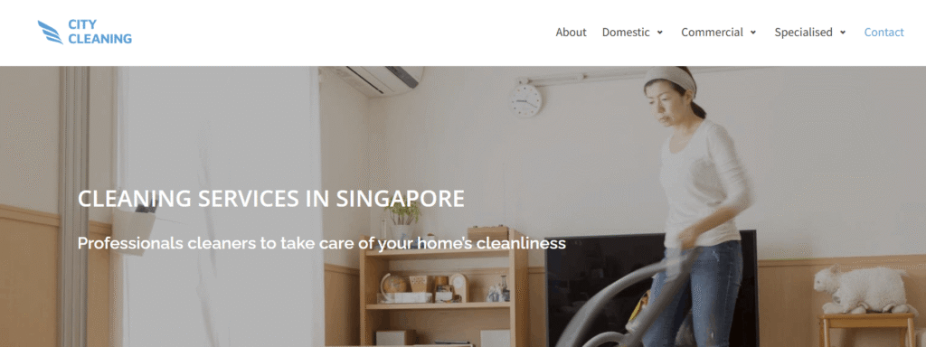 Window Cleaning in Singapore