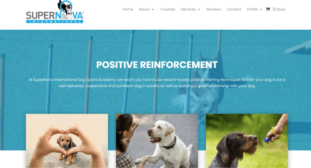 Puppy Training in Singapore