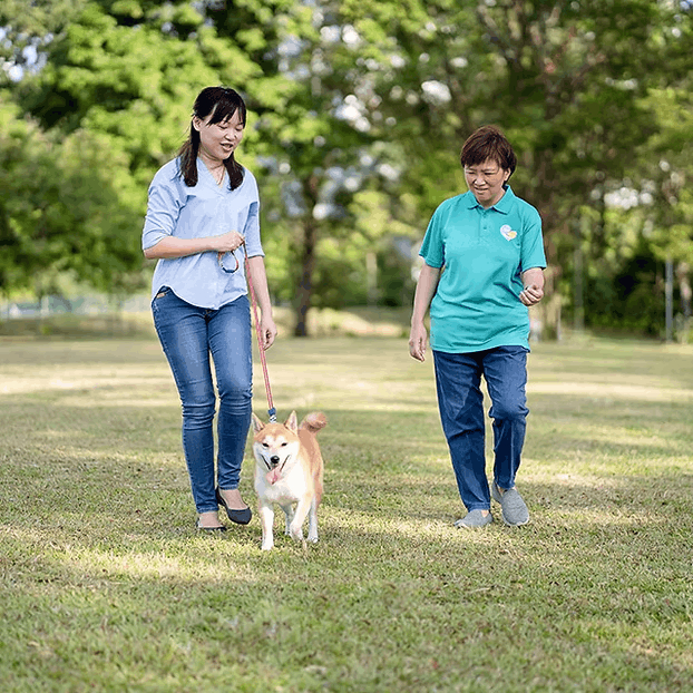 Dog Training in Singapore