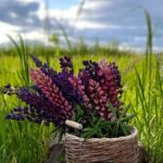 Bazi Reading in Singapore