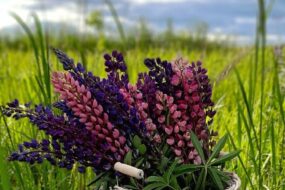 Bazi Reading in Singapore