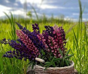 Bazi Reading in Singapore