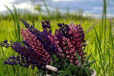 Bazi Reading in Singapore