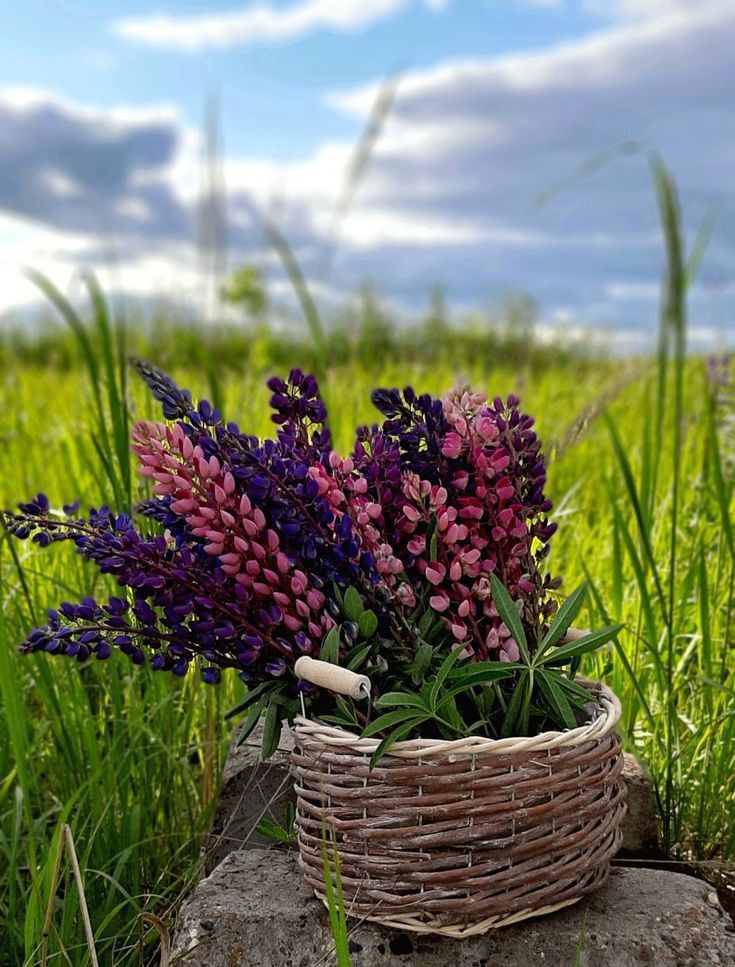 Bazi Reading in Singapore