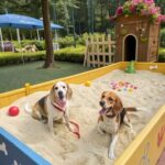 Dog Daycare in Singapore
