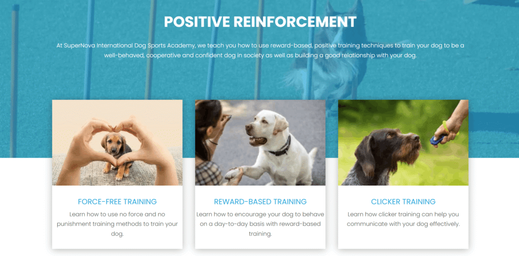 Puppy Training in Singapore