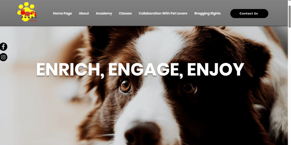 Puppy Training in Singapore