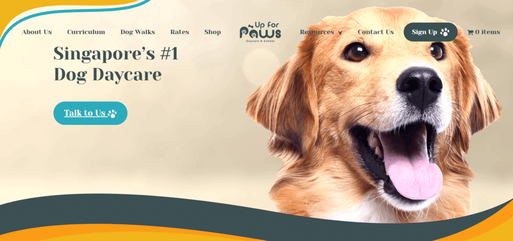 Dog Daycare in Singapore