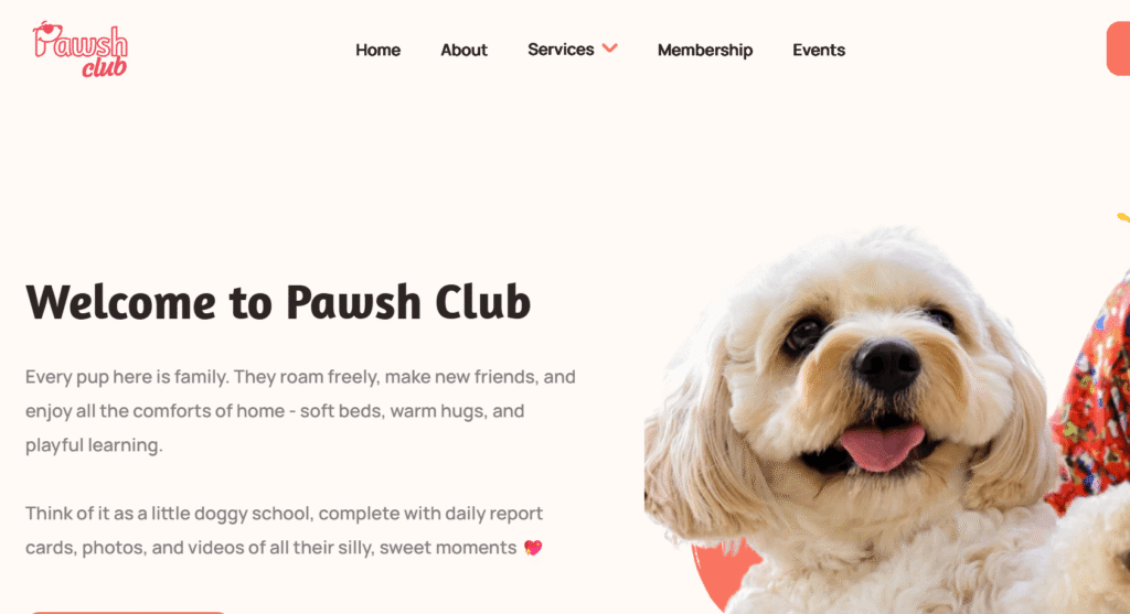 Dog Daycare in Singapore