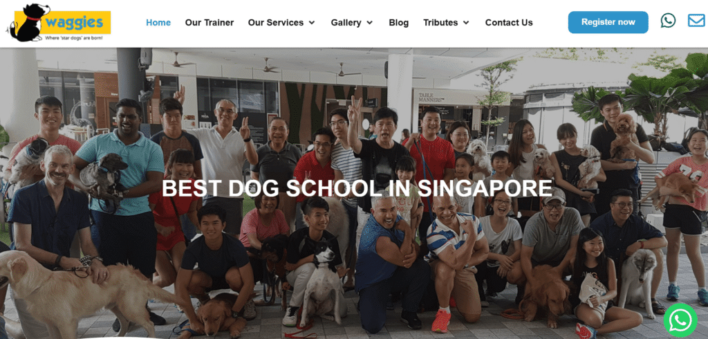 k9 training in Singapore
